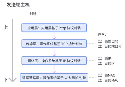 網(wǎng)絡(luò)通信基石 核心設(shè)備、關(guān)鍵技術(shù)及技術(shù)服務(wù)全景解析